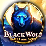 Blackjack Trực tiếp tại cam67