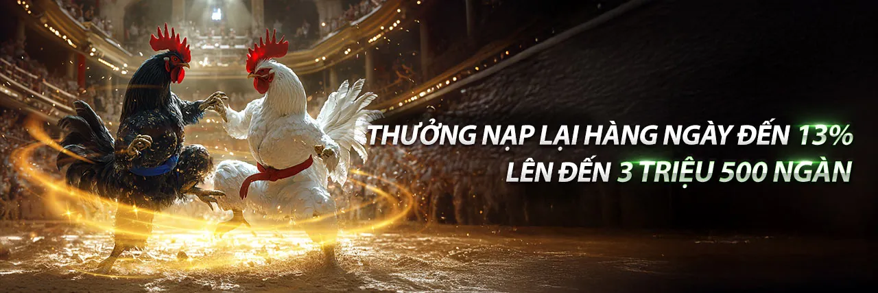 Đá gà cam67 trực tiếp các trận đấu kịch tính